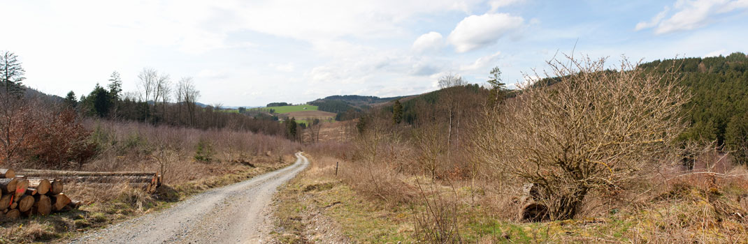 Blick von Föckinghausen nach Eversberg